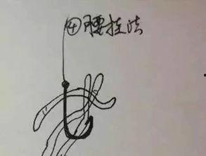 蚯蚓头部图片,解剖图解揭示生命奇迹