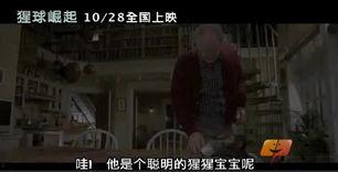 今天右眼的八卦电影,揭秘右眼电影背后的神秘世界