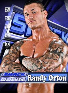 wwe邓爽个人资料,从街头格斗到世界舞台的华丽蜕变