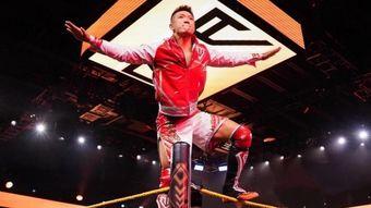 wwe邓爽个人资料,从街头格斗到世界舞台的华丽蜕变