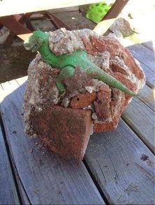 搞笑恐龙化石,搞笑恐龙化石大盘点