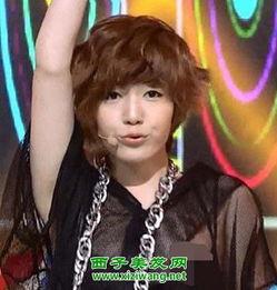 tara队员资料,勇敢探险者的传奇故事