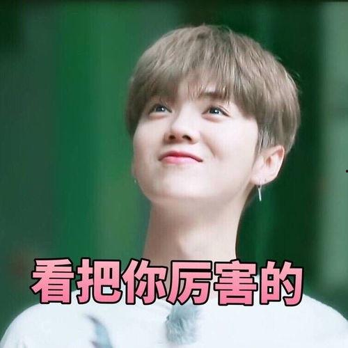 沉迷鹿晗表情包,网络狂欢背后的文化现象